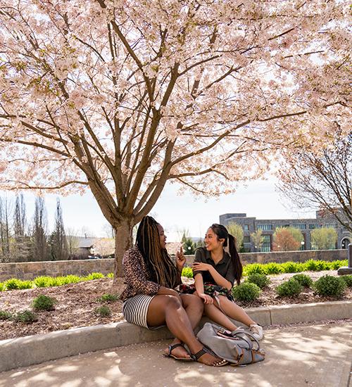 Marist students sitting under a tree